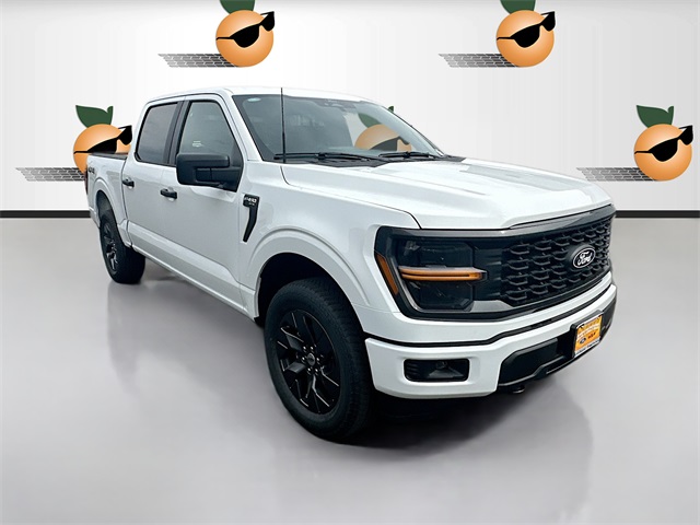 2025 Ford F-150 STX's photo