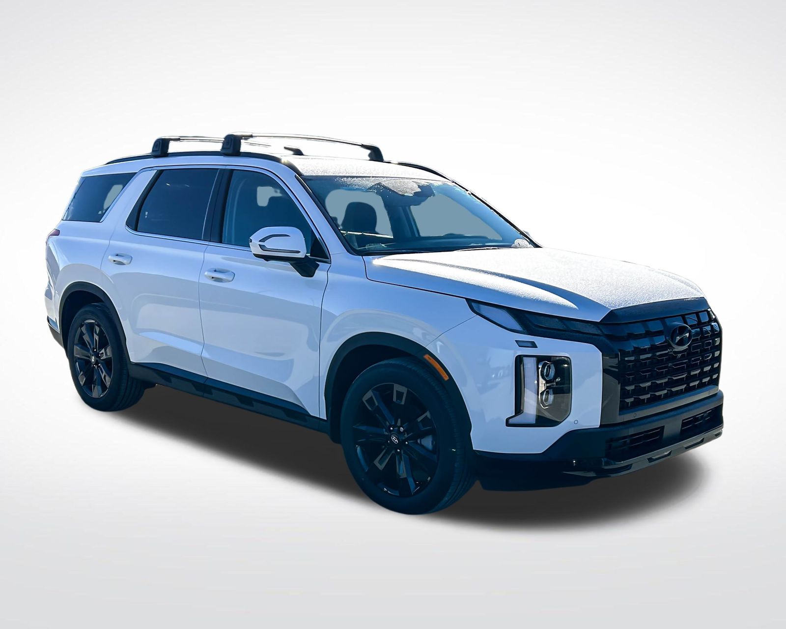 2025 Hyundai Palisade XRT photo 3