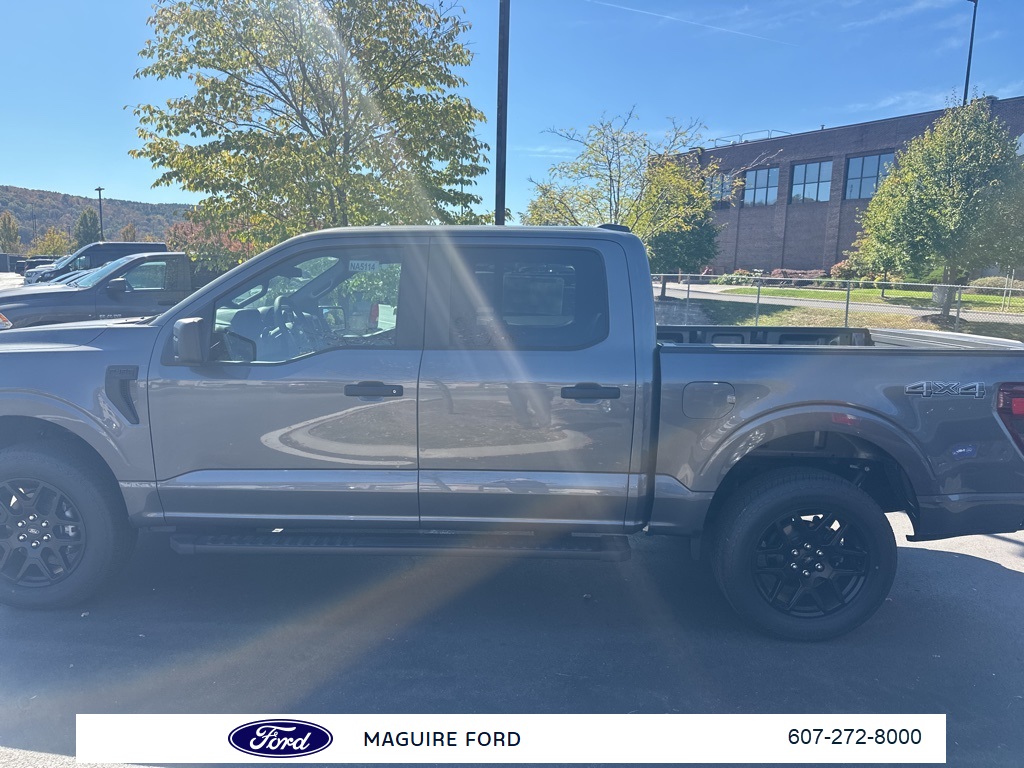 2025 Ford F-150 STX photo 7
