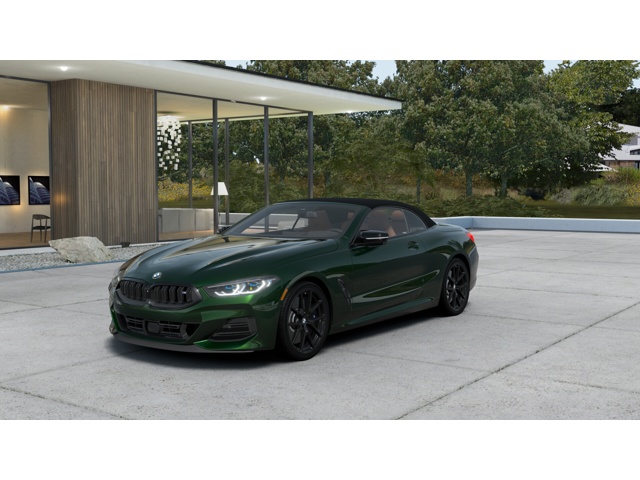 2026 BMW 8 Series M850i's photo