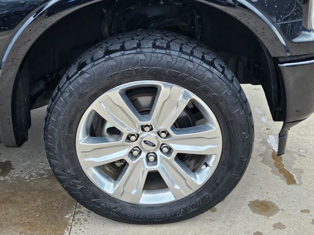 2020 Ford F-150 Platinum photo 4