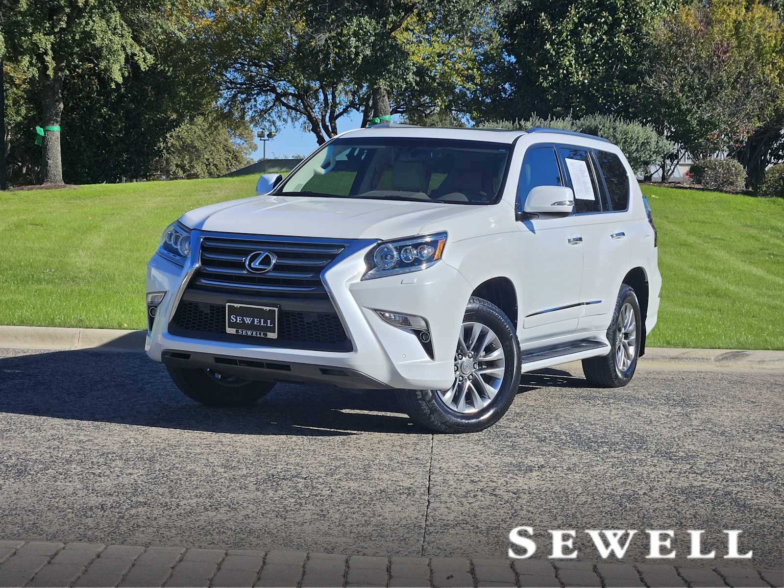 2017 Lexus GX Luxury's photo