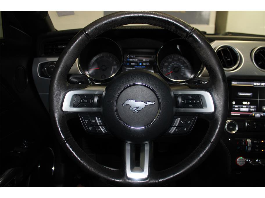 2015 Ford Mustang GT photo 15