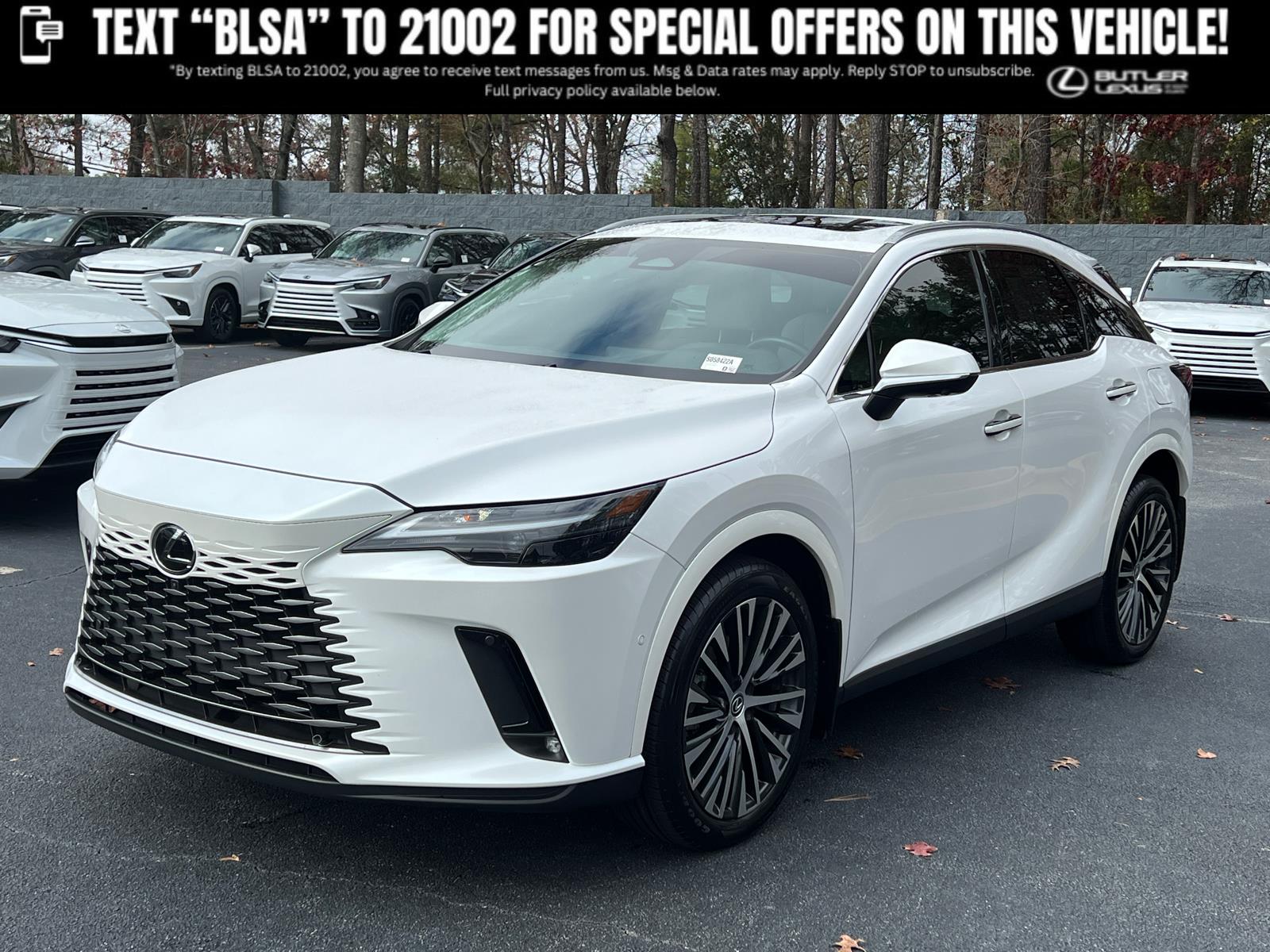2024 Lexus RX 350's photo
