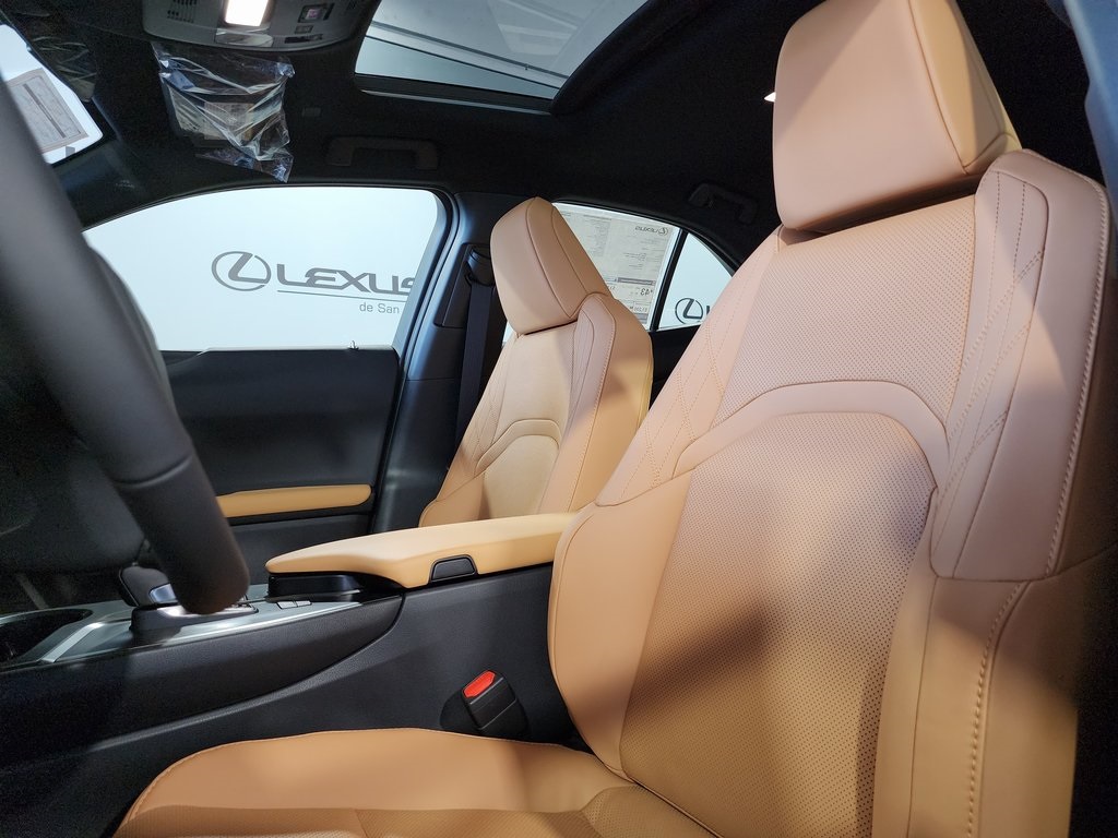 2025 Lexus UX photo 12