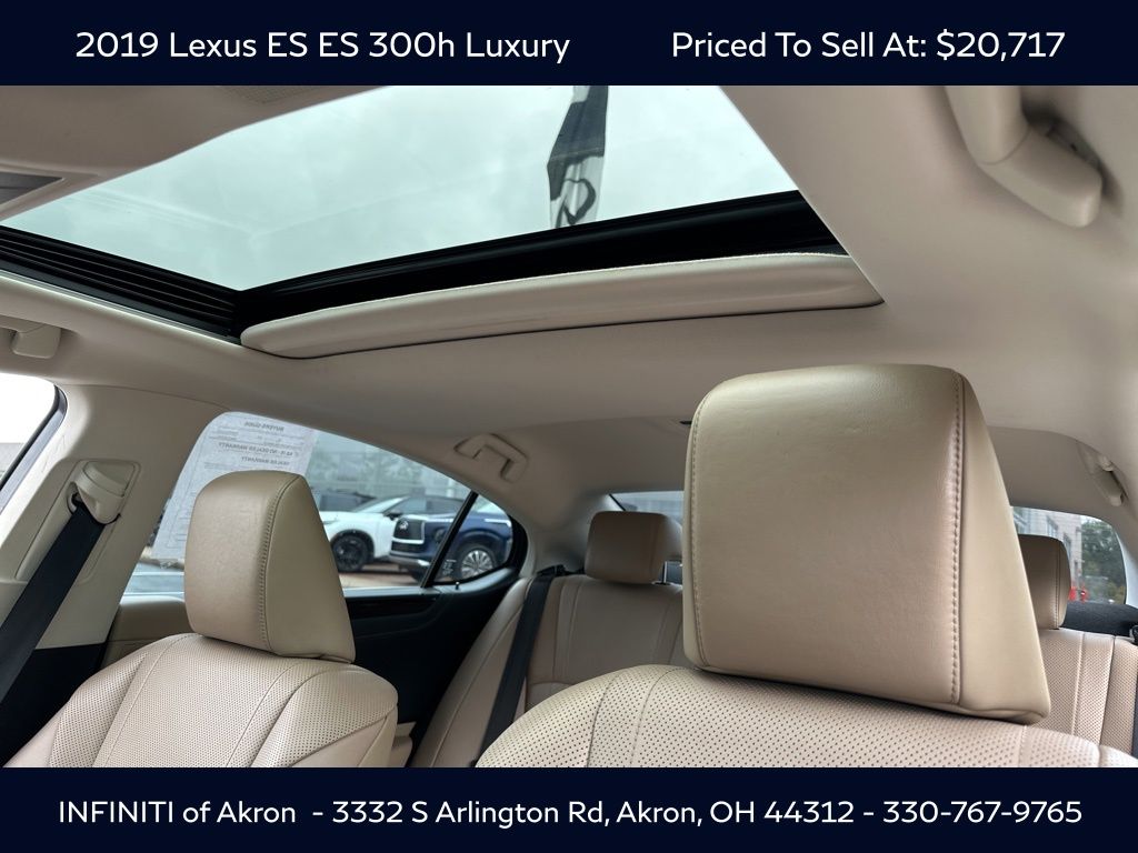 2019 Lexus ES 300h Luxury photo 2