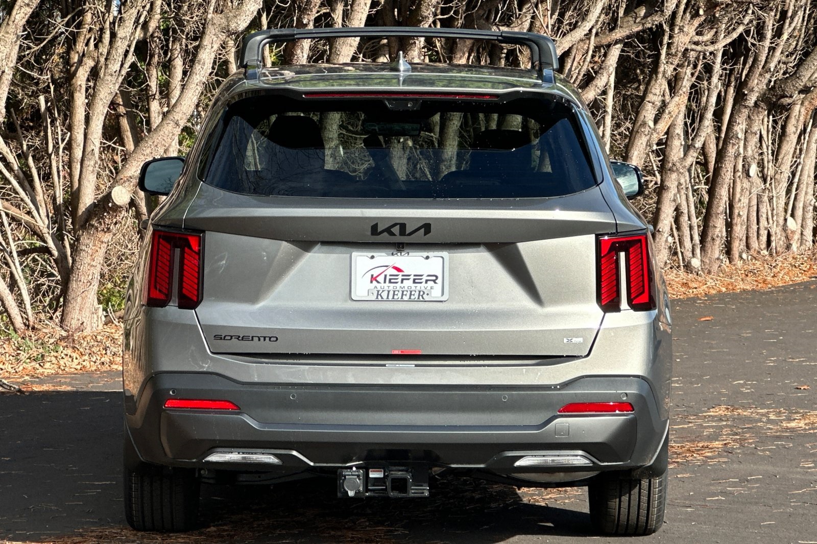 2026 Kia Sorento Plug-In Hybrid SX Prestige photo 3