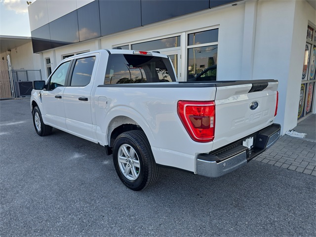 2023 Ford F-150 XLT photo 3