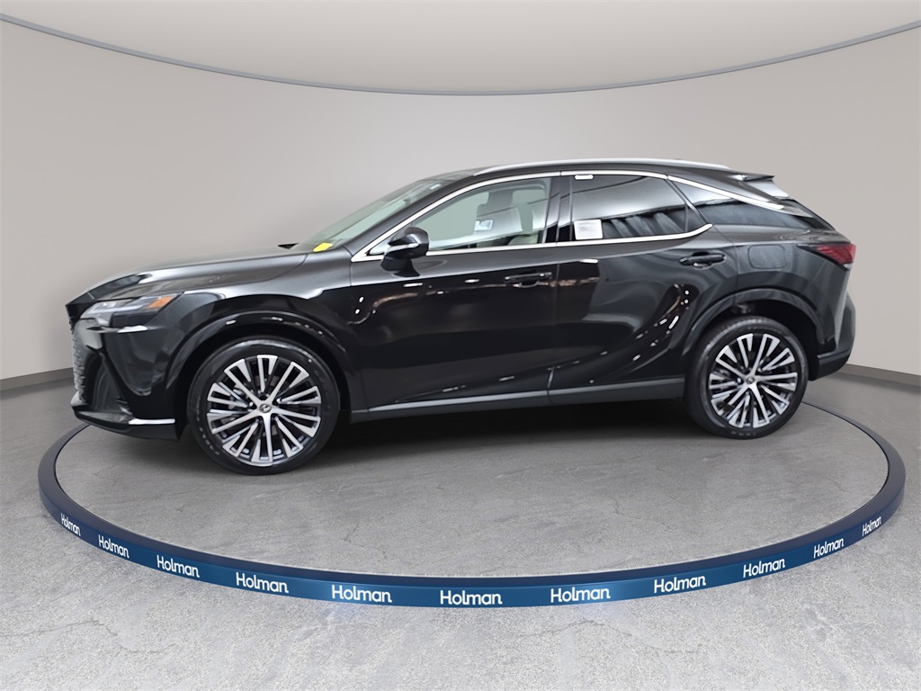 2025 Lexus RX 350 Premium photo 2