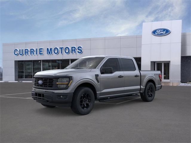 2025 Ford F-150 STX's photo