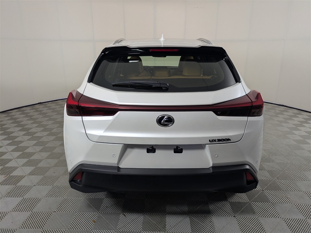 2025 Lexus UX photo 5