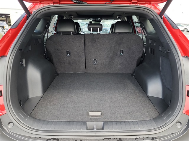 2026 Kia Sportage X-Line photo 5