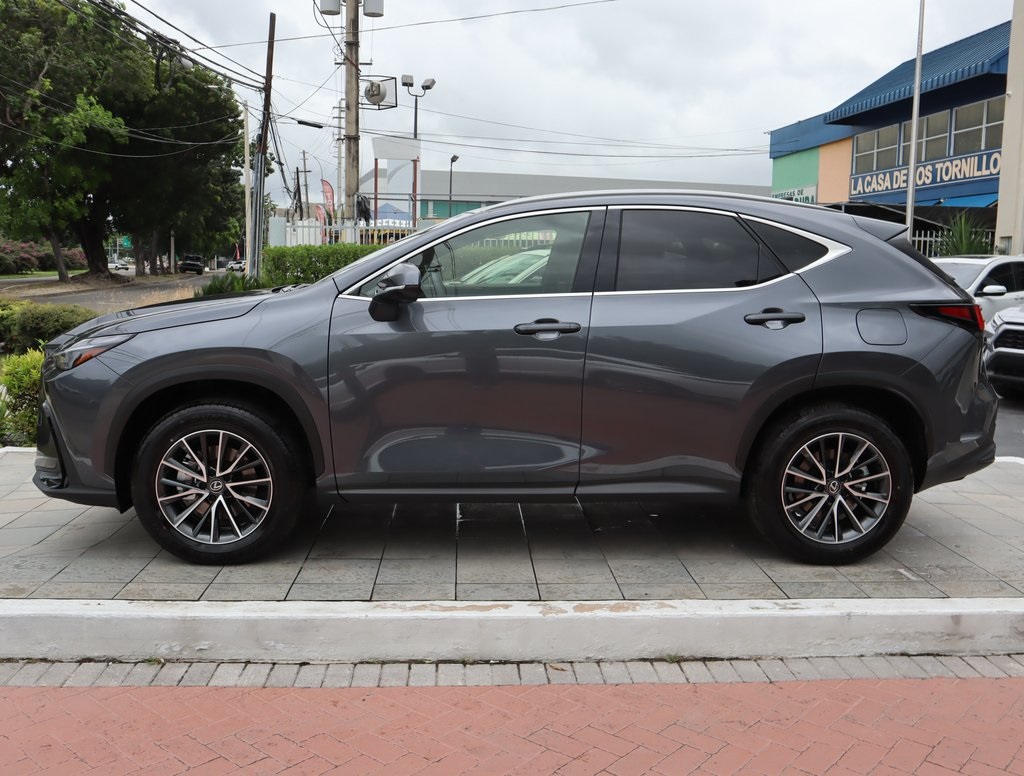 2025 Lexus NX 250 Premium photo 8