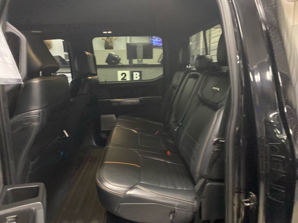 2021 Ford F-150 Platinum photo 3