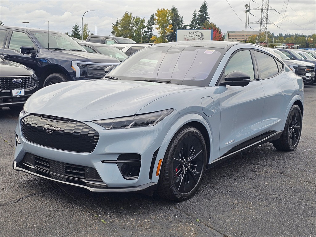 2025 Ford Mustang Mach-E GT photo 3