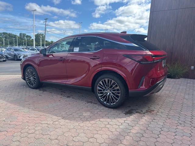 2025 Lexus RX 350 Luxury photo 13