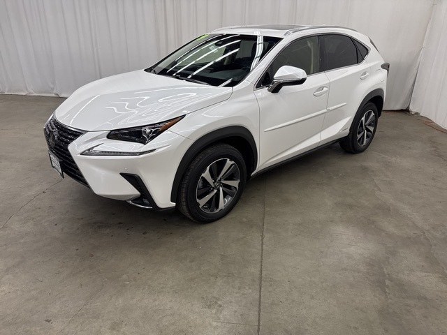 2019 Lexus NX 300h Luxury photo 4