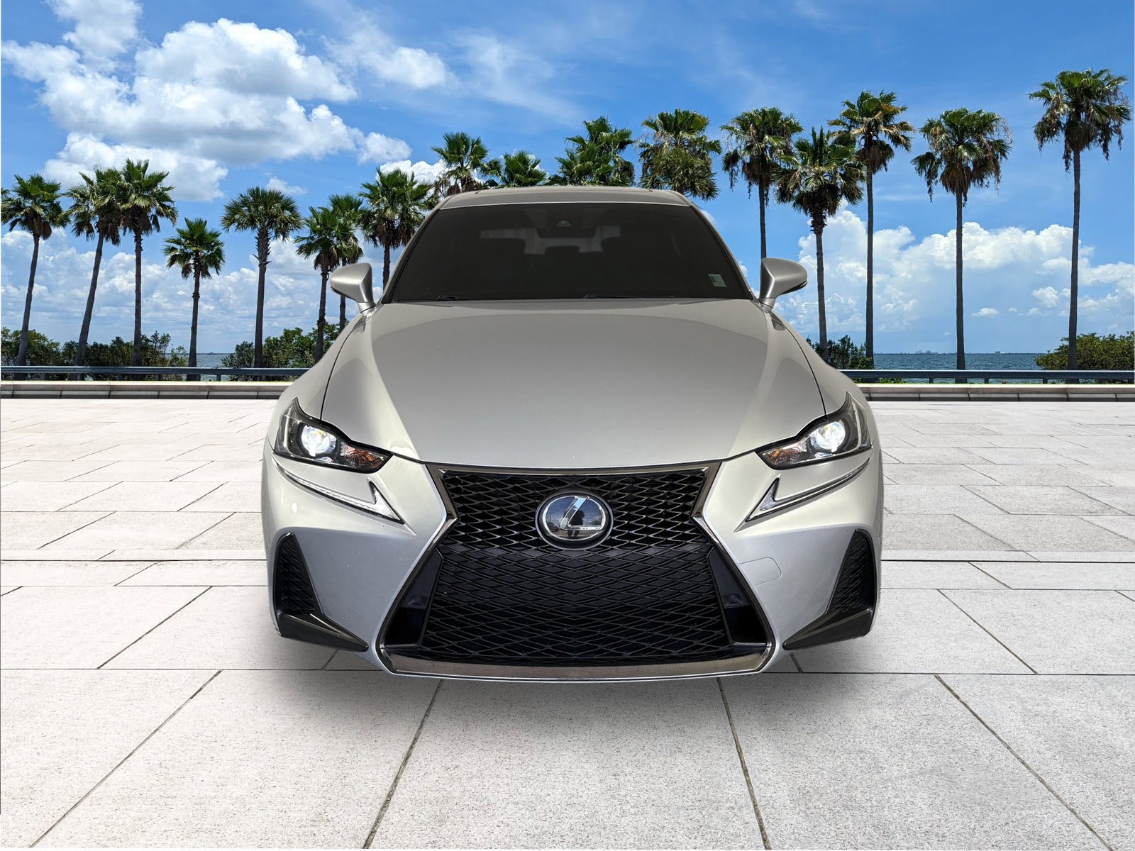 2020 Lexus IS 300 F SPORT photo 3