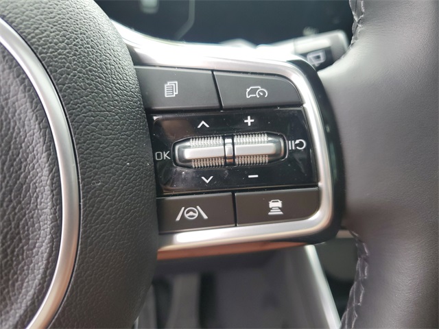 2025 Kia Carnival SX Prestige photo 30
