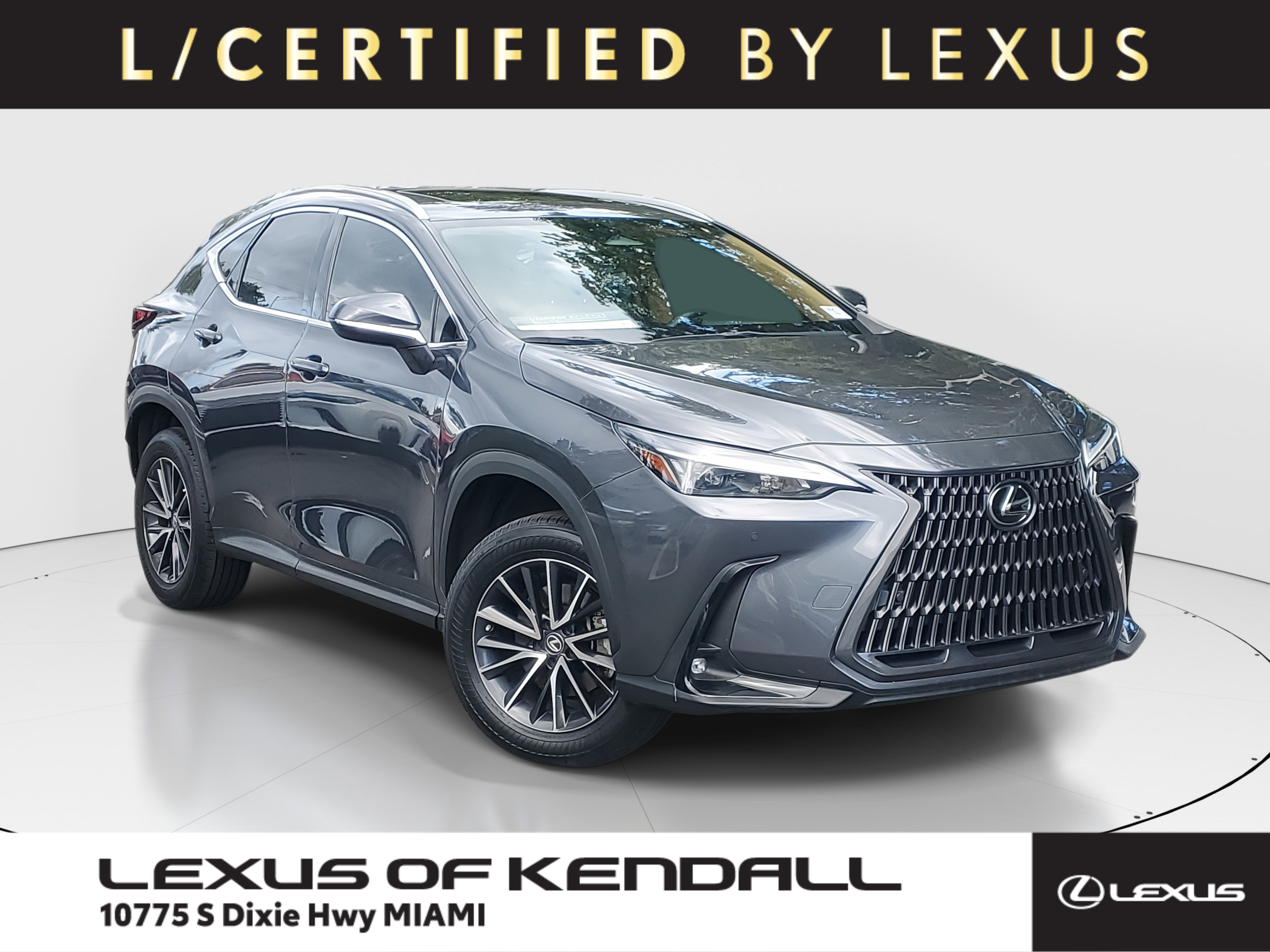 2023 Lexus NX 250's photo