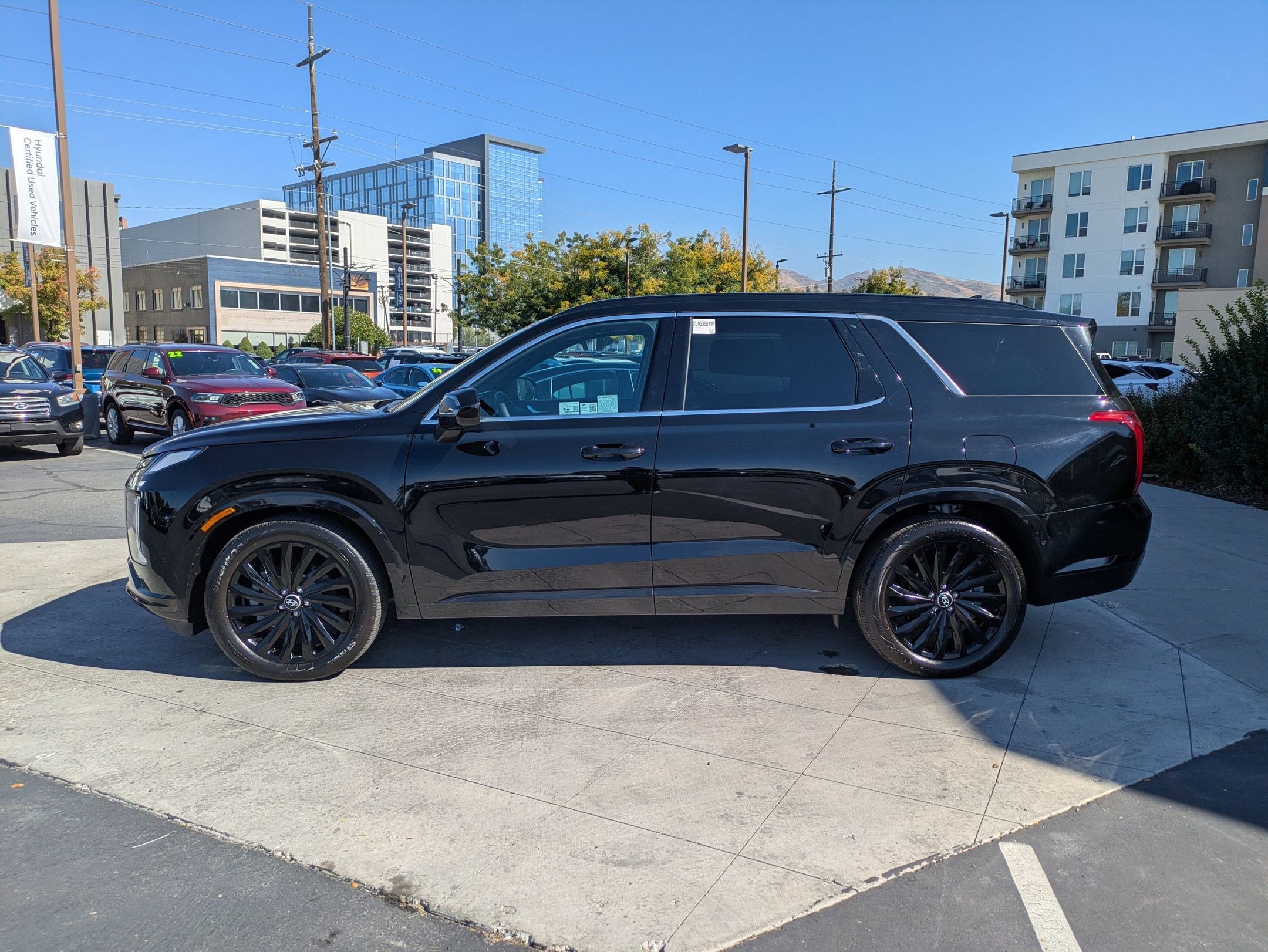 2025 Hyundai Palisade Calligraphy photo 4