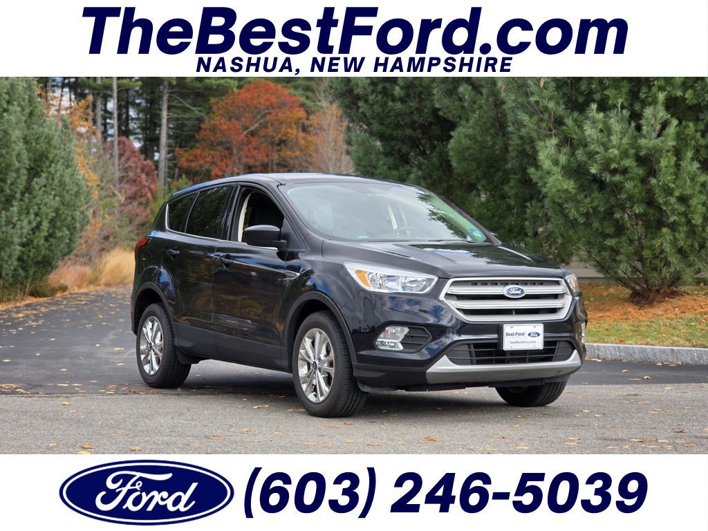2019 Ford Escape SE