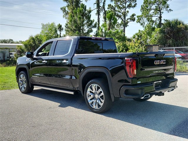 2025 Gmc Sierra 1500 Denali photo 3