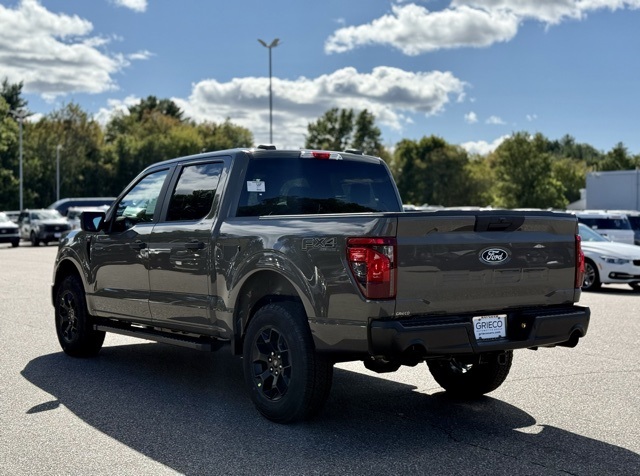 2025 Ford F-150 STX photo 9