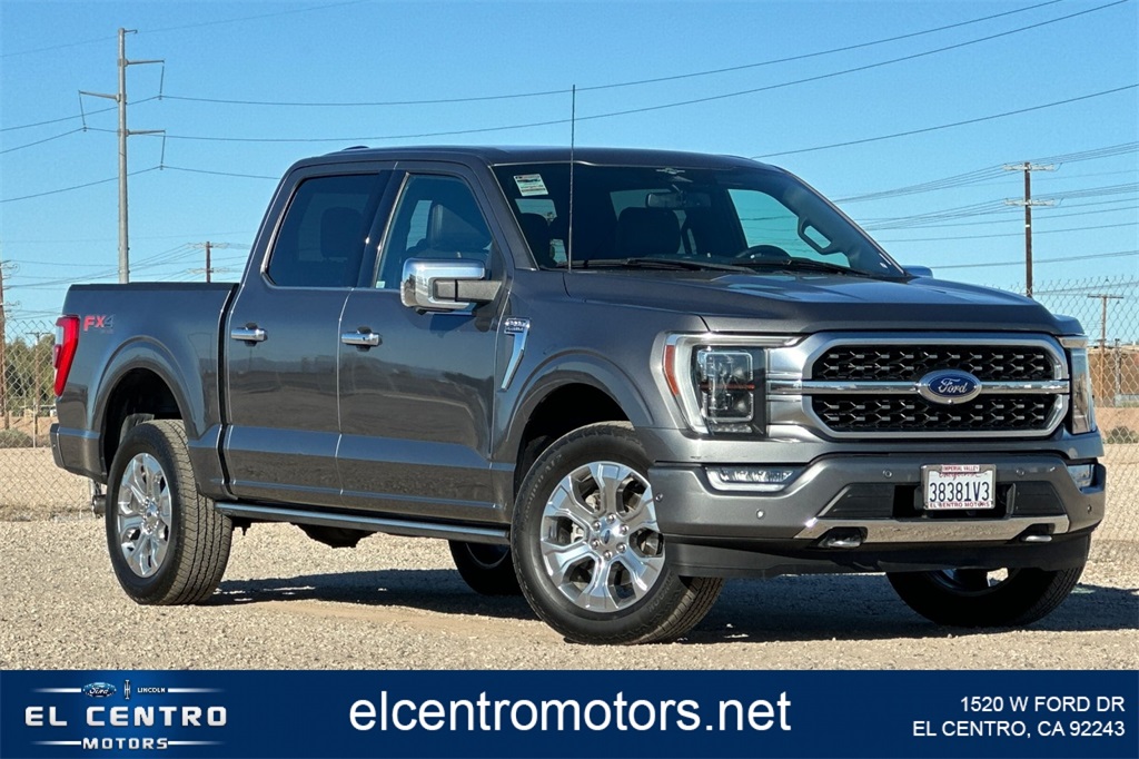 2023 Ford F-150 Platinum's photo