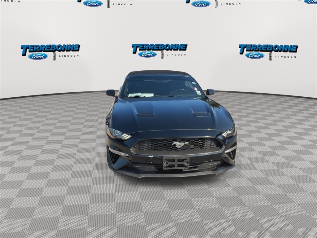 2019 Ford Mustang EcoBoost Premium photo 3