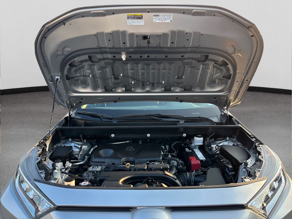 2019 Toyota RAV4 XLE photo 13