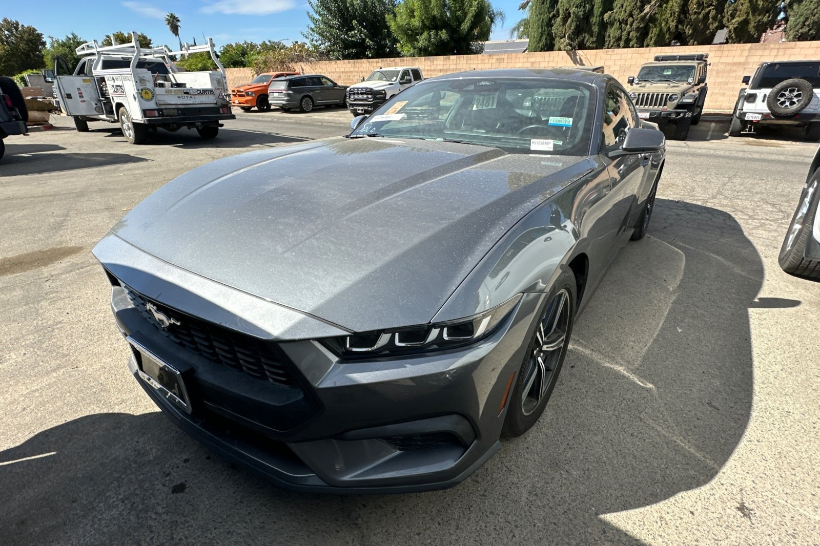 2024 Ford Mustang EcoBoost Premium photo 2