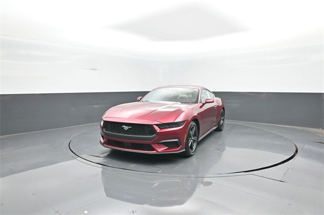 2025 Ford Mustang EcoBoost Premium photo 3