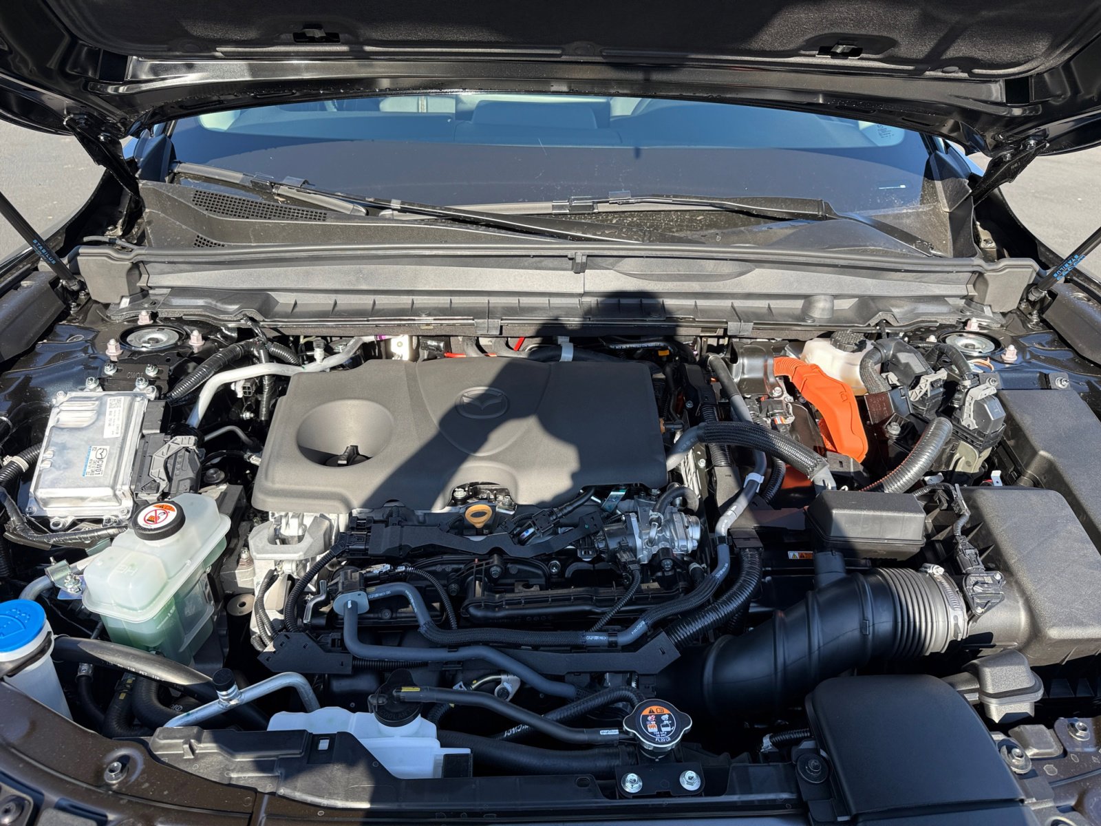 2025 Mazda CX-50 Premium photo 20