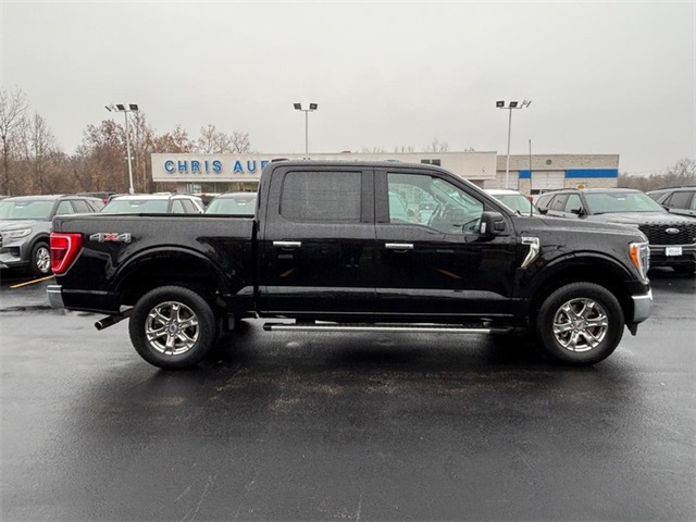 2023 Ford F-150 XLT's photo