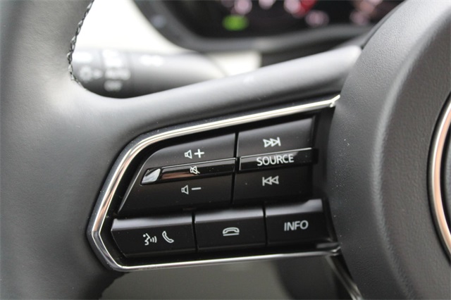 2025 Mazda CX-90 3.3 Turbo Premium Plus photo 22