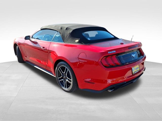 2023 Ford Mustang EcoBoost Premium photo 4