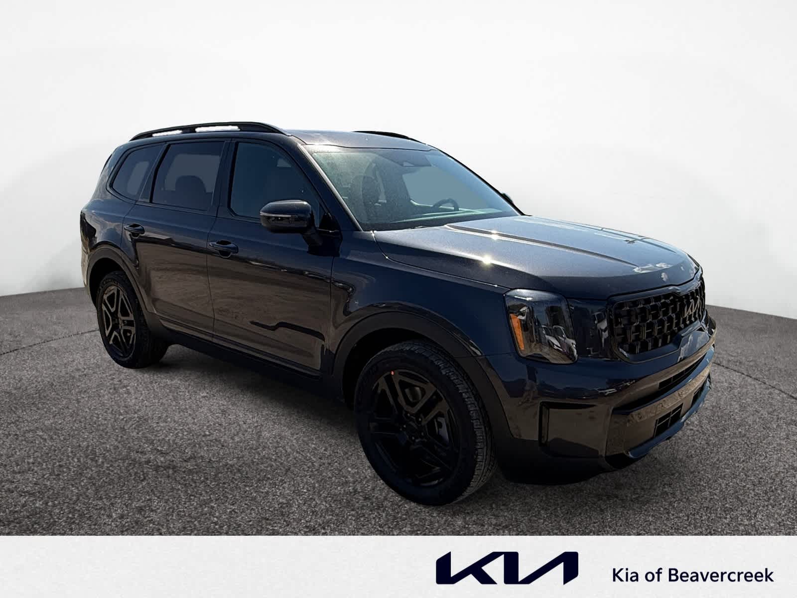 2025 Kia Telluride EX X-Line photo 4
