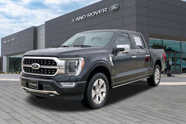 2023 Ford F-150 Platinum's photo