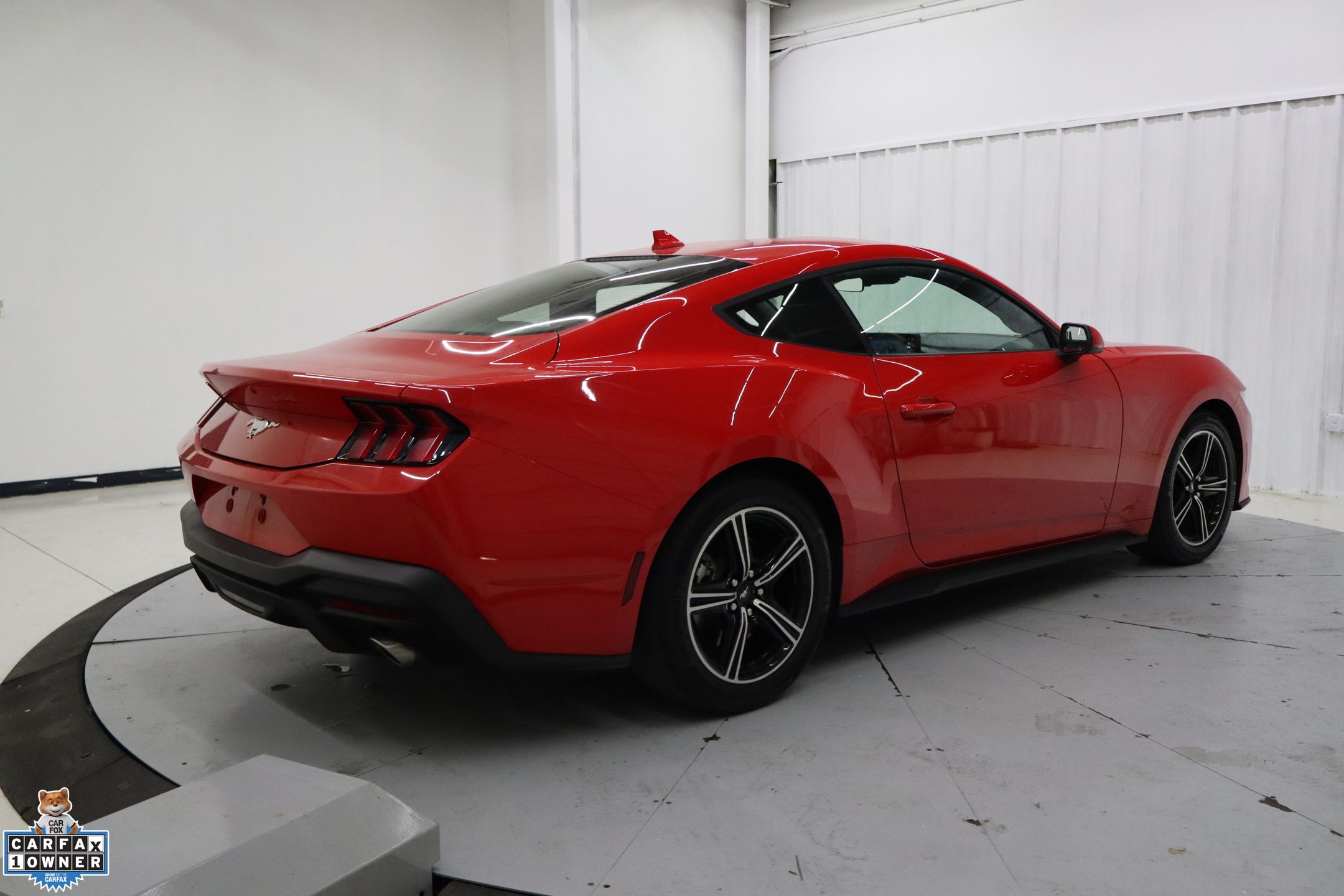 2024 Ford Mustang EcoBoost photo 3