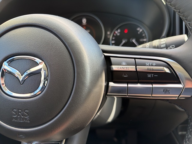 2025 Mazda CX-50 2.5 S Premium photo 19
