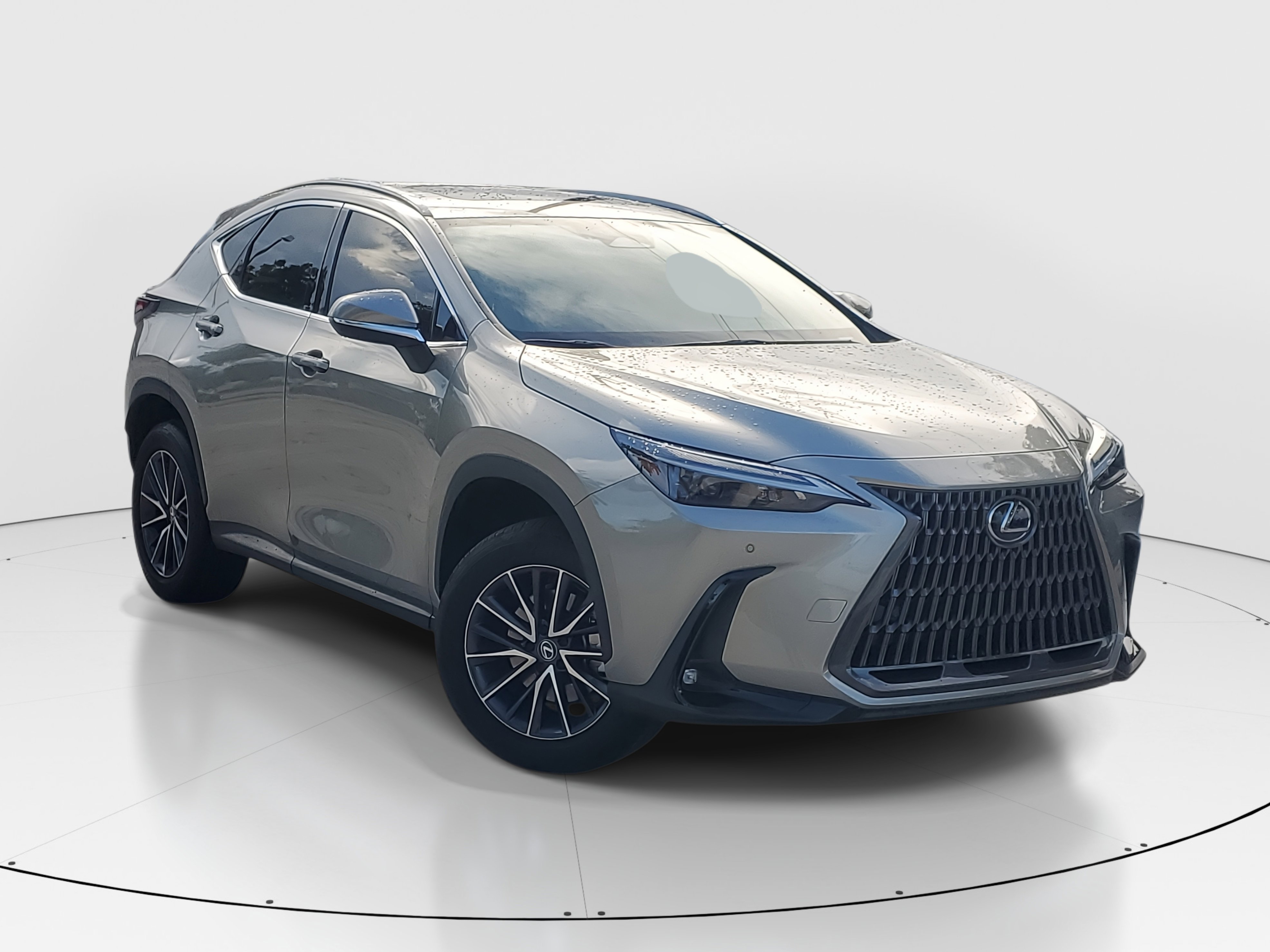 2024 Lexus NX 250 Premium photo 2