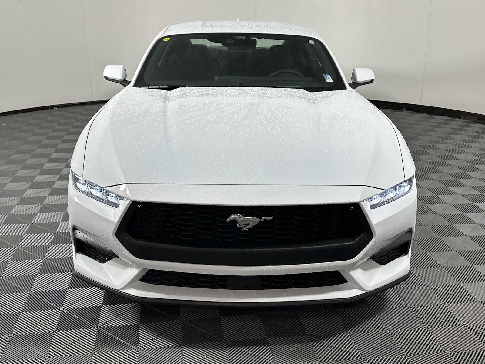 2026 Ford Mustang EcoBoost Premium photo 2