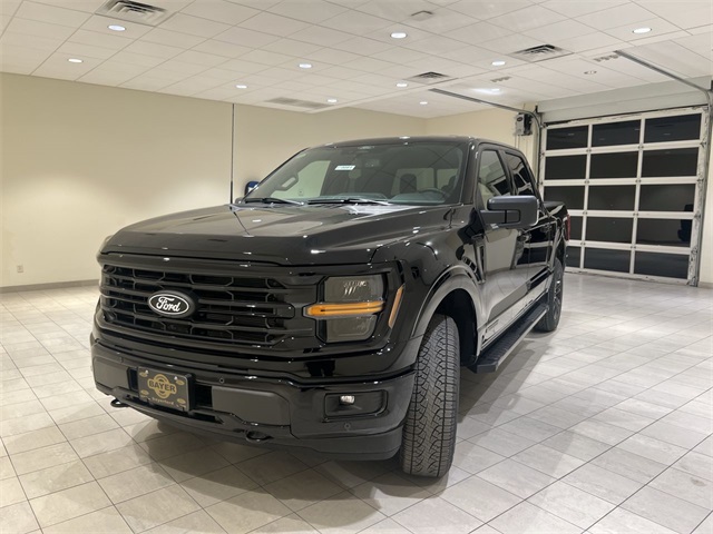 2025 Ford F-150 XLT's photo