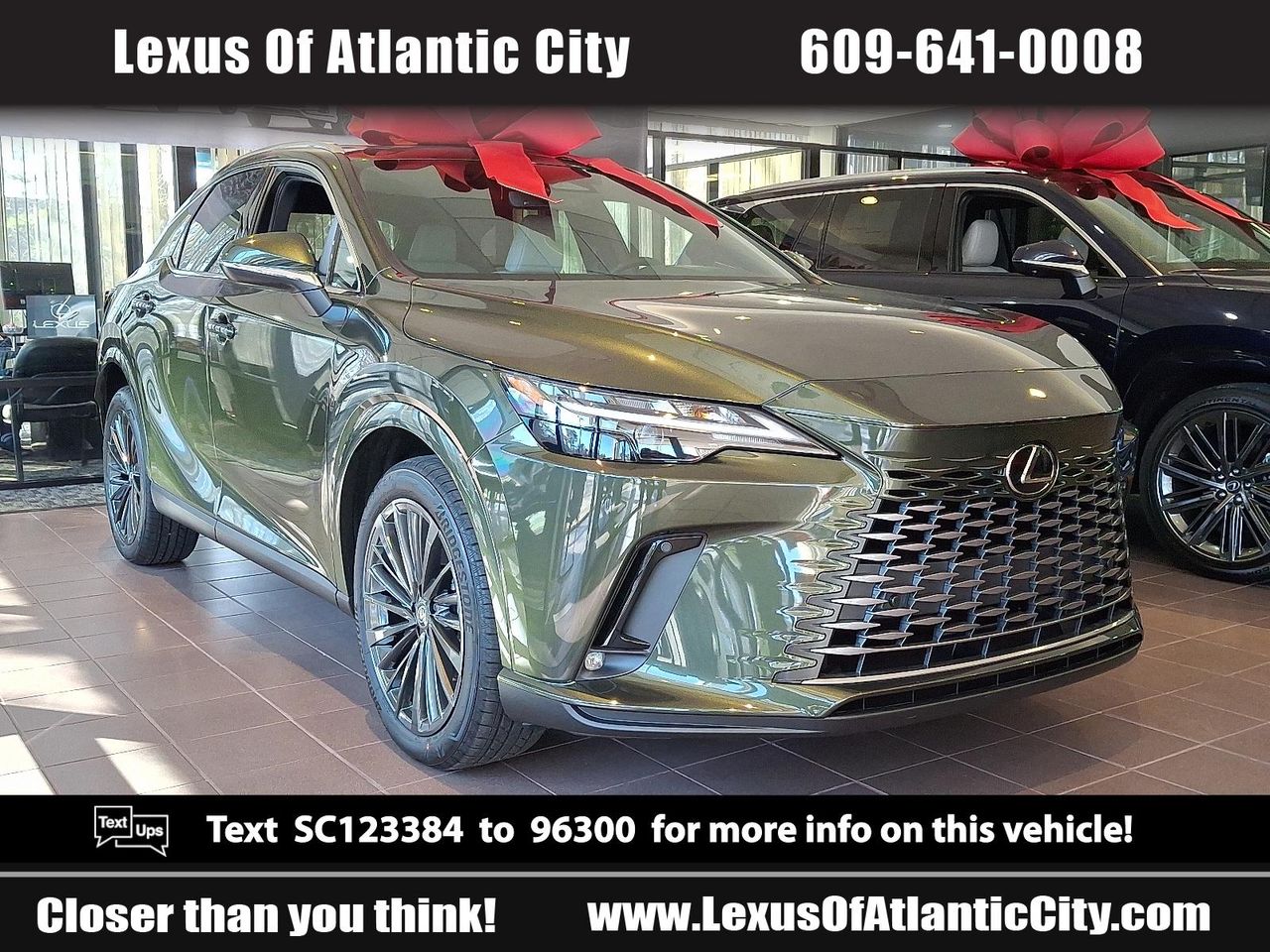 2025 Lexus RX 350's photo