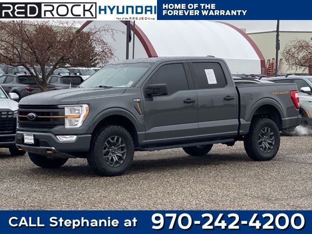 2021 Ford F-150 Tremor's photo