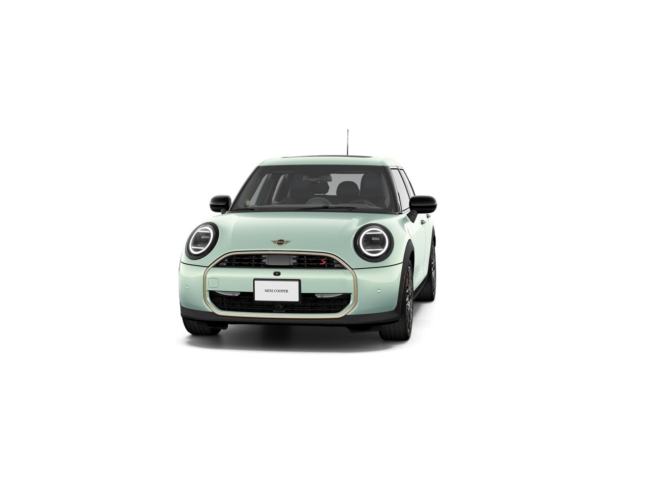 New 2025 Ocean Wave Green MINI ICONIC image 3