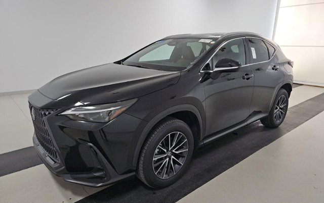 2024 Lexus NX 250 Premium photo 3