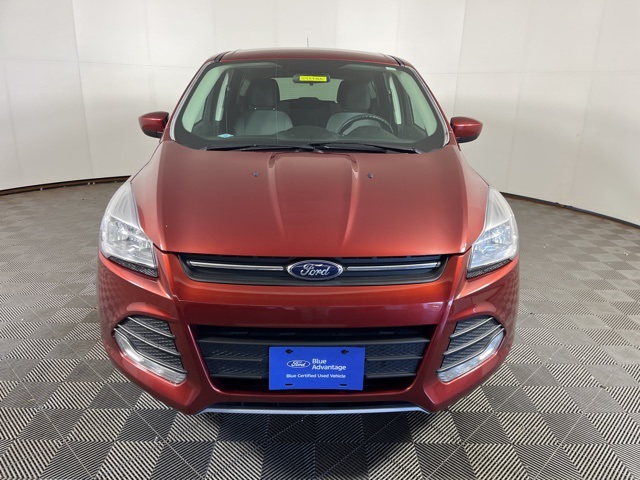 2016 Ford Escape SE photo 2