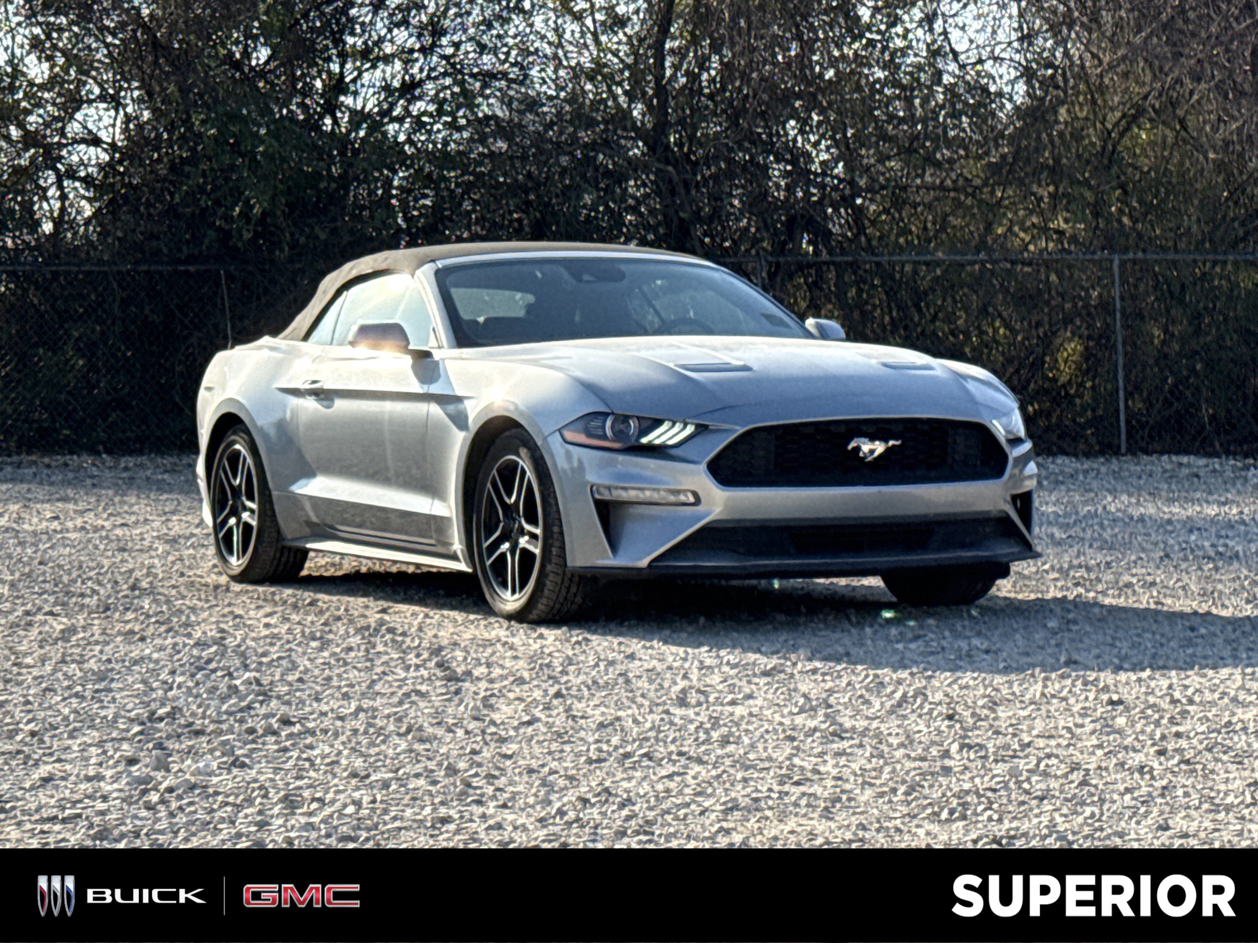 2023 Ford Mustang EcoBoost's photo